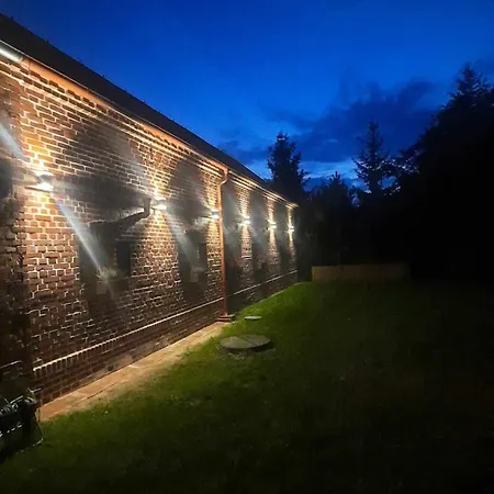 Jelen W Smokingu Sulow (Lower Silesia)